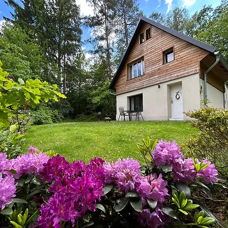 Cosy With Wellness Holiday home